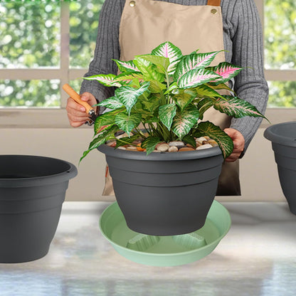 4 Pack Plant Saucer 8 inch, 10 12 14 17 inch, Plant Stand Plastic Plant Saucers for Indoors Outdoor, Heavy Duty Flower Planter Drip Trays for Pots, Pot Saucers for Plants, Grow Bags Saucers
