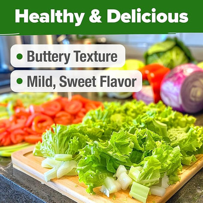 HOME GROWN 𝗨𝗦𝗔 𝗣𝗥𝗘𝗠𝗜𝗨𝗠 Buttercrunch Lettuce Seeds Bulk Pack - 1975 Heirloom 𝗡𝗢𝗡-𝗚𝗠𝗢 Seeds for Hydroponic Garden Indoor Outdoor - Butter Lettuce Vegetable for Planting (Lactuca Sativa)