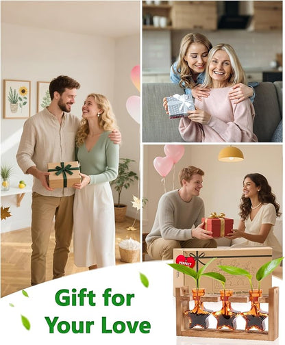 Nacome Star Glass Propagation Stations: Plant Terrarium with Wooden Stand Vase for Home Office Desk Decor, Unique Gifts for Plant Lovers Women Mom (Orange)