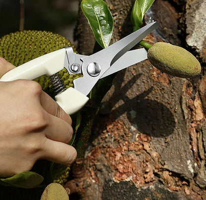 Garden Flower Shears Pruning Shears 6.9 inches Straight and Bypass Scissors Heavy Duty Plant Scissors for Cutting Flowers, Trimming Plants, Bonsai, Fruits Picking (White handle Straight and Bypass)