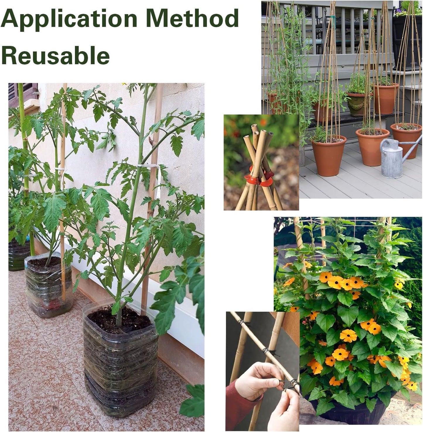 30pcs Bamboo Stakes 4FT, Garden Stakes 48 inch Multi-Purpose, Plant Stakes for Tomatoes, Beans, Cucumbers, Peppers, Flowers, Potted, Maintain The Plant Posture, Strengthen and Stem