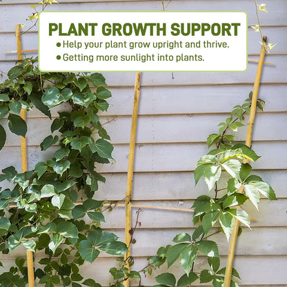 Avalution 10 Pack Bamboo Trellis for Climbing Plants, 4 FT Garden Ladder Trellis for Potted Plants Indoor, Fan-Shaped Small Plant Support Trellis for Houseplants Ivy Hoya Vine Monstera