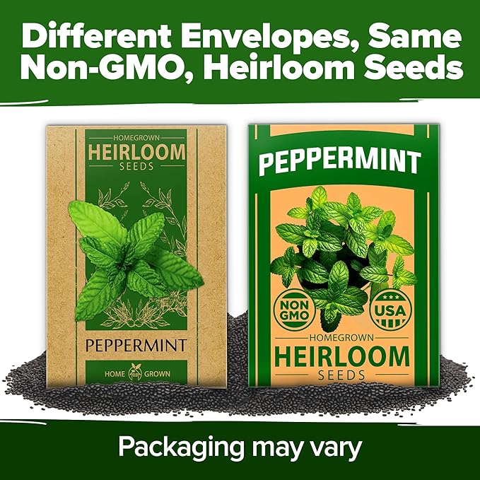 HOME GROWN 𝗨𝗦𝗔 𝗣𝗥𝗘𝗠𝗜𝗨𝗠 Peppermint Seeds Pack – 2,370 𝗡𝗢𝗡-𝗚𝗠𝗢 Heirloom Mint Seeds for Planting. Grow Peppermint Plants in Your Herb Garden Indoors or Outdoors (Mentha x piperita)