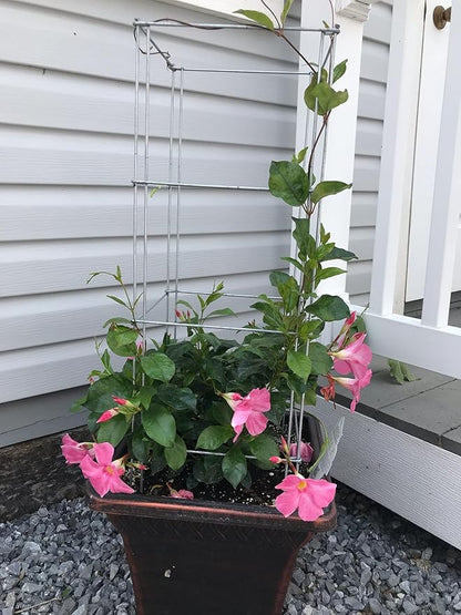 Cedar Ridge Square Foldable Potted Vegetable Cage – Heavy-Duty Plant Support for Containers & Small-Space Gardens – Ideal for Tomatoes, Peppers & Climbing Plants. Made in USA (9x40) – 3-Pack