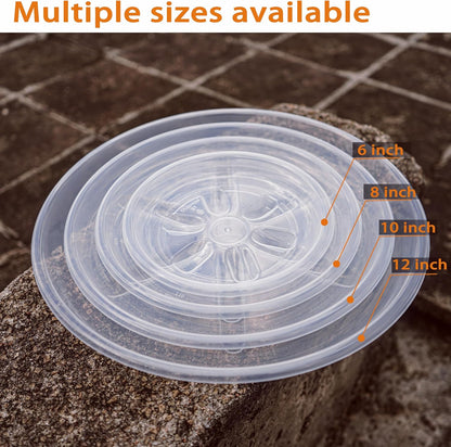 6 Pack of Plant Saucer, 6 8 10 12 inch Clear Plant Trays for Pots, Plant Water Catcher Tray, Plant Plate for Indoors Outdoors (6 inch, Clear)