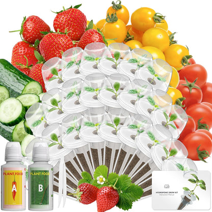 Fruits Seed Pod Kit for AeroGarden, Ahopegarden, iDoo, GARDENCUBE, MUFGA with Strawberry, Cucumber, Red/Golden Cherry Tomato, Compatible with All Indoor Hydroponics Growing System, 24-Pod