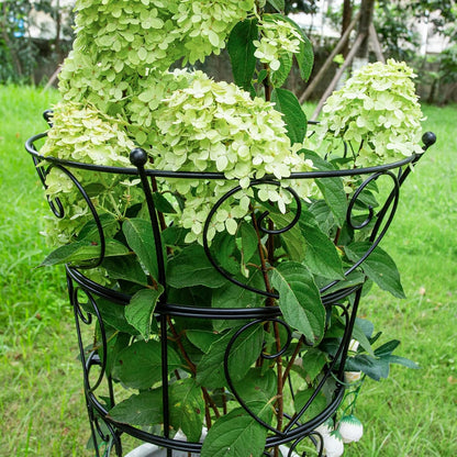 Large Obelisk Trellis Peony Cage 24.6x17 Inches - Premium Metal Plant Support for Outdoor Gardens, Easy Assembly, Sturdy Design, Perfect for Climbing Plants