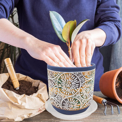 6 Pack Clear Plant Saucer 10 inch, Heavy Duty Plastic Clear Plant Saucers 10 inch, Durable Plant Tray for Pots, Flower Saucers for Indoors, Plant Pot Saucers, Trays for Planter 8"/9"/10"