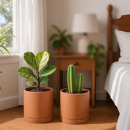 D'vine Dev Large 10 Inch Terracotta Plant Pot with Drainage Hole and Saucer, Round Cylinder Planter Pot for Indoor Plants, Set of 2, 40-X-B-5
