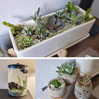 18lb Natural Gravel for Aquarium Succulents Bonsai Terrarium Fish Tank,1/5" Decorative Stone for Plants Indoor