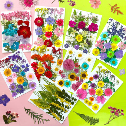 192Pcs Dried Pressed Flowers for Resin, Assorted Real Natural Bulk Dry Floral Leaves for DIY Art Crafts, Epoxy Molds, Jewelry, Soap, Candle Making, Nails Decors
