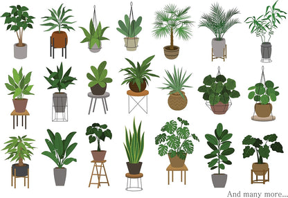 Indoor Plant Food | All-purpose House Plant Fertilizer | Liquid Common Houseplant Fertilizers for Potted Planting Soil | by Aquatic Arts