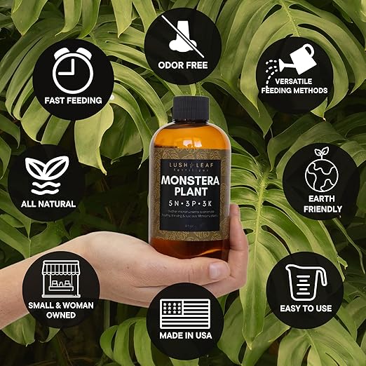 Lush Leaf | Plant Food (Monstera)