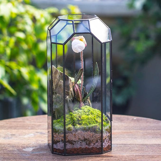 NCYP Glass Geometric Plant Terrarium with Door for Succulent Plants, Cacti - 5.5"x5.5"x12.8" - Indoor Vintage Tall Octagon Planter, Home Garden Office Tabletop Decoration (Terrarium Only)