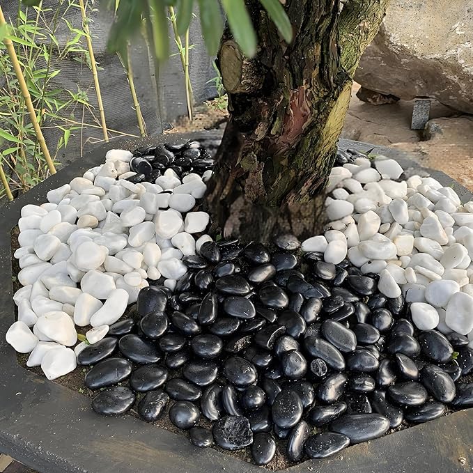 20 lbs Large Black River Rocks for Garden, 2-3 inch Polished Pebbles for Plants. Decorative Stones for Planters Landscaping Vase Aquarium and Fish Tank
