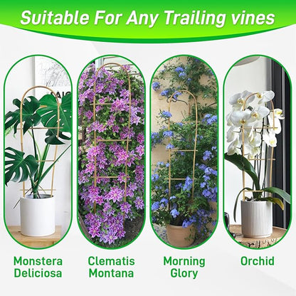 10 Pack 2ft U-Shape Bamboo Trellis for Climbing Plants, Natural Garden Trellis for Tomatoes, Cucumbers, Potted Plants, Vegetables Indoor Outdoor