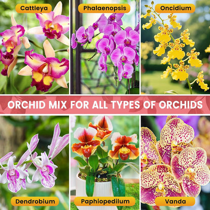 Legigo 1 QT Orchid Potting Mix- Natural Orchid Soil Mix for Repotting with Moss, Pine Bark, Coco Peat and Perlite, Enhanced Drainage Orchid Bark Potting Mix Repotting Kit for Indoor Plant Growth