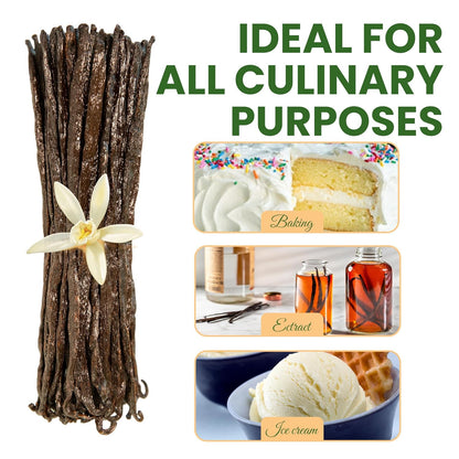 10 Count Organic Madagascar Vanilla Beans – Grade A Bourbon Pods | Gourmet Whole Vanilla Beans for Baking, Cooking, Extract Making | Rich Aroma, Premium Flavor, Non-GMO, Vegan