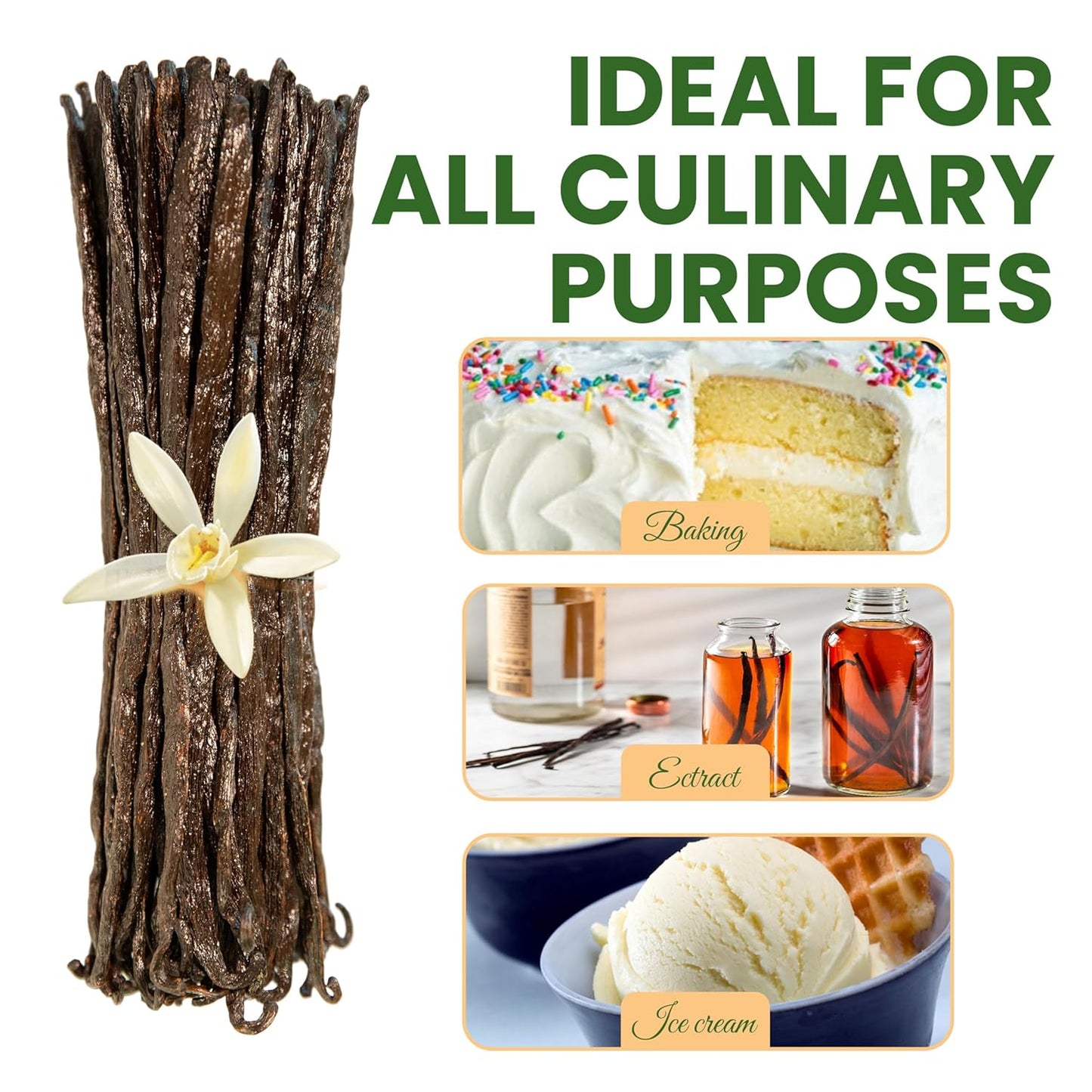 15 Count Organic Madagascar Vanilla Beans – Grade A Bourbon Pods | Gourmet Whole Vanilla Beans for Baking, Cooking, Extract Making | Rich Aroma, Premium Flavor, Non-GMO, Vegan