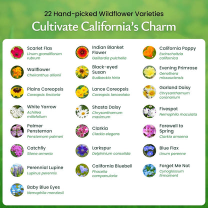 Created By Nature California Wildflower Seed Mix with Poppies, 22 Flower Varieties, 54,000+ Seeds