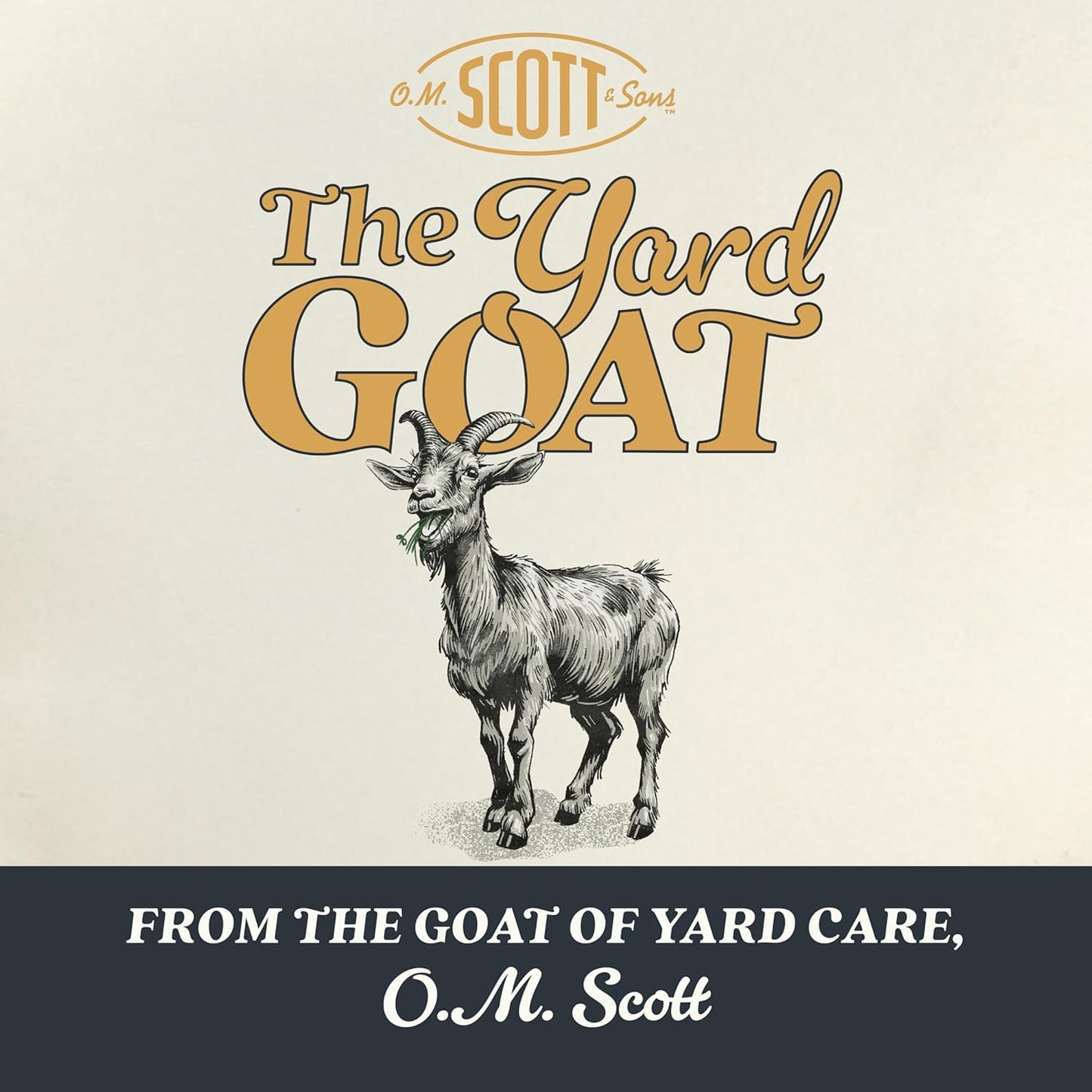 O.M. Scott and Sons Tall Fescue Blend Grass Seed, Fertilizer and Soil Improver, Naturally Crowds Out Weeds, Covers Up to 2,000 sq. ft., 8 lbs., 2-Pack