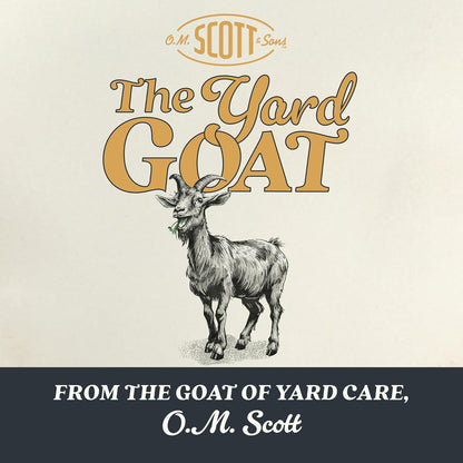 O.M. Scott and Sons Tall Fescue Blend Grass Seed, Fertilizer and Soil Improver, Naturally Crowds Out Weeds, Covers Up to 2,000 sq. ft., 8 lbs.
