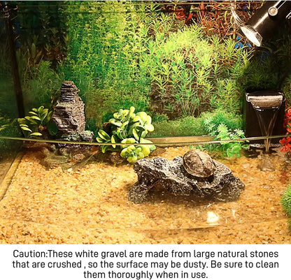 45lb Cactus Pea Gravel Rocks,1/5 Inch Pebbles for Indoor Plants, Natural Succulent Rock and River Rocks Decorative for Aquariums, Vases, Terrarium, Outdoor Gardening, Top Dressing for Potted Plants