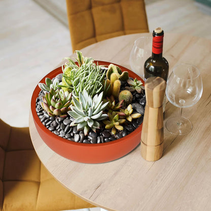 SQOWL 10 Inch Large Terracotta Planter Pot,Clay Succulent Bonsai Planter with Drainage Hole and Bamboo Saucer for Indoor Plants