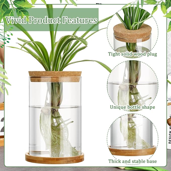 Maxcheck 3 Pcs 3 Sizes Plant Propagation Station Separated Glass Plant Terrarium Water Hydroponic Planter Holder with Lid and Wooden Stand Propagation Vase Pot for Home Indoor Office(Common Sizes)