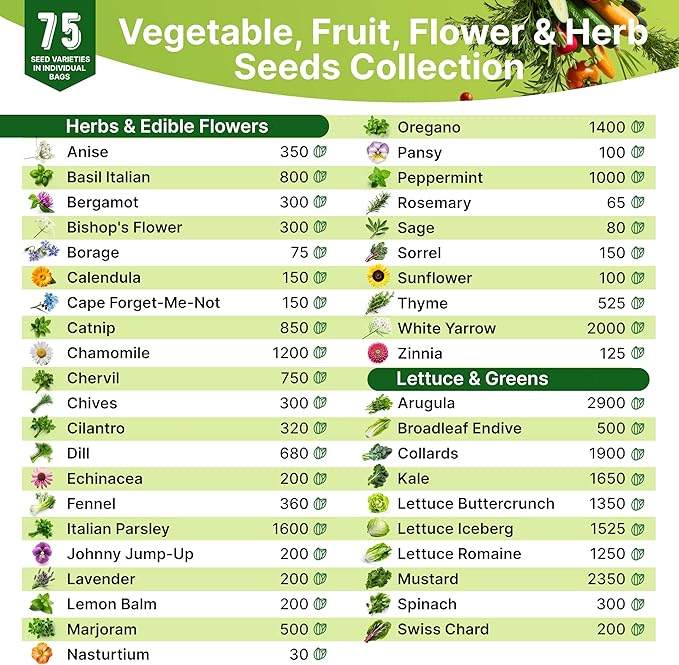 Organo Republic Medicinal & Tea Herb Seeds Variety Pack for Indoor & Outdoors - 75 Variety Pack. Non-GMO Heirloom Garden Seeds: Rosemary, Cilantro, Basil, Oregano, Parsley, Dill, Lavender, Catnip