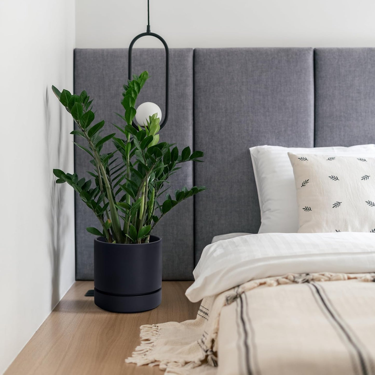 Phoenix Vine 8 Inch Planter Pot with Drainage Hole & Saucer, Deep Water Catch Tray, Straight Cylindrical Round Pot for Plants, Matte Black, Pack of 2, 23-C-T-2