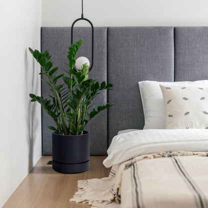 Phoenix Vine 8 Inch Planter Pot with Drainage Hole & Saucer, Deep Water Catch Tray, Straight Cylindrical Round Pot for Plants, Matte Black, Pack of 2, 23-C-T-2