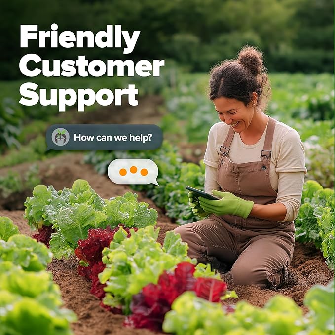 HOME GROWN 5 Lettuce Seed Pack – 3950 Heirloom Vegetable Seeds for Indoor, Outdoor, or Hydroponic Growing – Black Seeded Simpson, Red Romaine, Bibb, Buttercrunch, Iceberg Varieties (Lactuca Sativa)