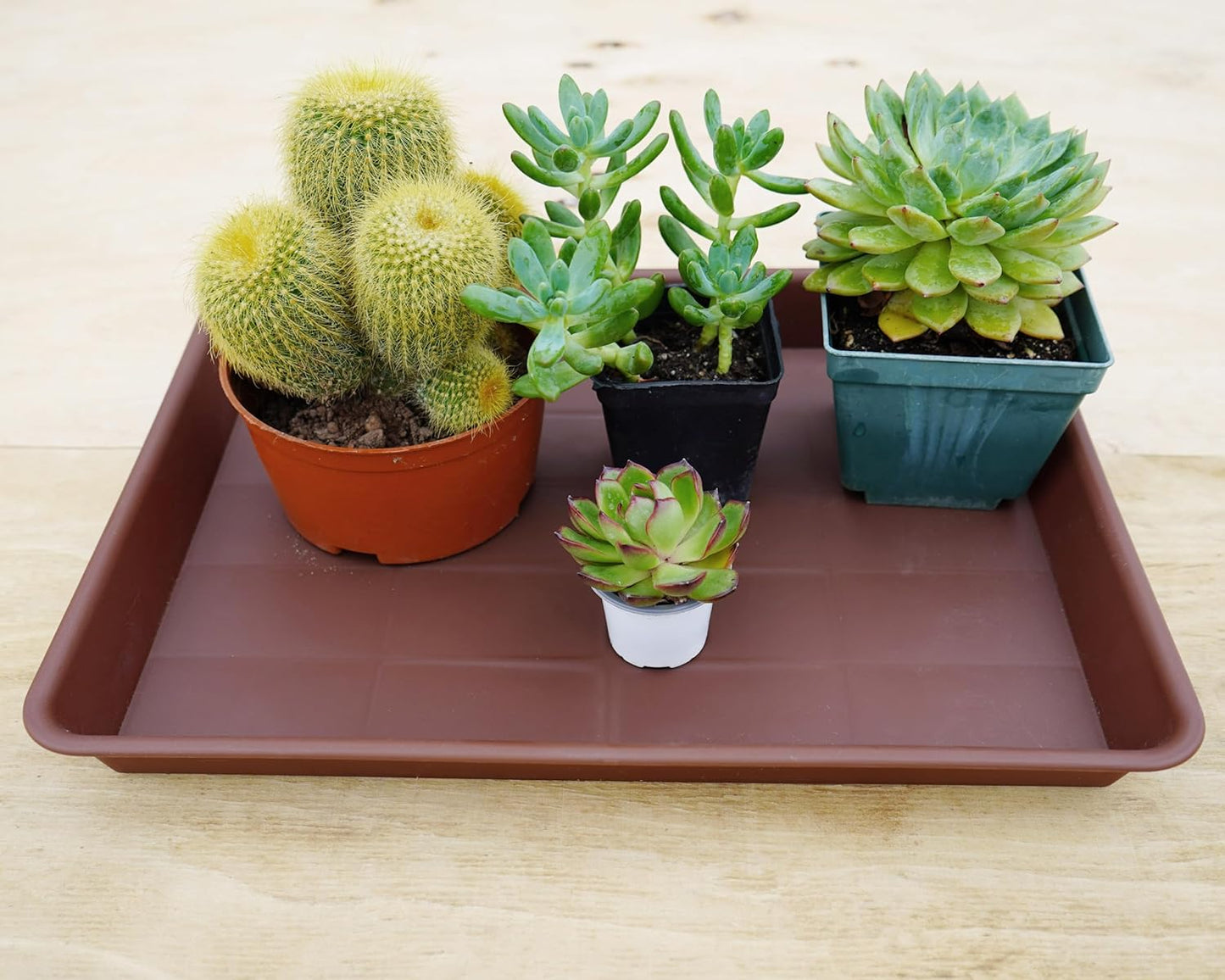 Plant Growing Trays 4 Pack, Plant Tray, 14.5"x11", Heavy Sturdy Plastic Plant Saucer Seed Trays, Seedling Starter Tray, Plant Drip Trays for Indoors, Seed Starter Growing Tray (Chocolate)