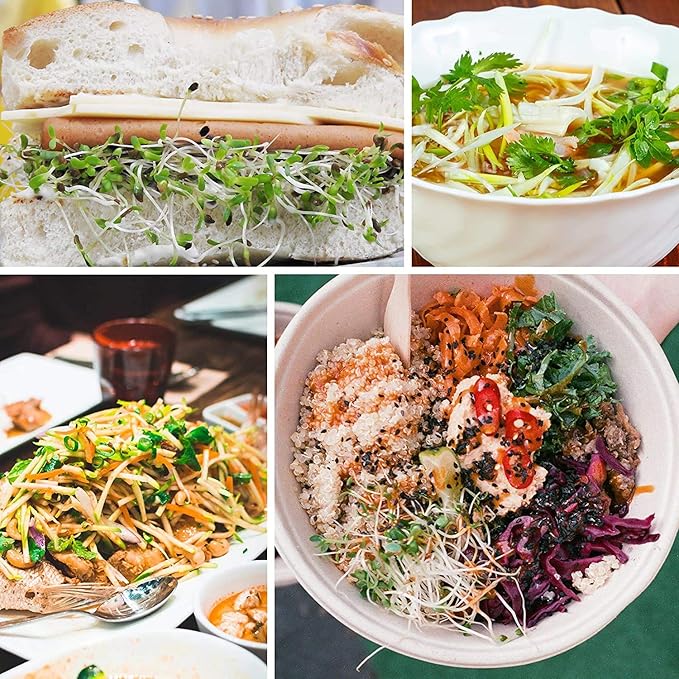 4 Oz - Handy Pantry 5 Part Salad Sprout Mix - Organic Non-GMO Mixed Seeds - Organic Broccoli Sprouting Seeds, Radish Sprout Seeds, Alfalfa Sprout Seeds, Lentil Seeds, and Mung Bean Seeds for Sprouting