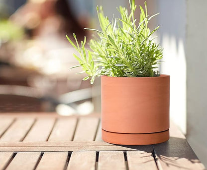 D'vine Dev X-Small 4 Inch Terracotta Plant Pot with Drainage Hole and Saucer, Round Cylinder Planter Pot for Indoor Plants, 40-X-A-1
