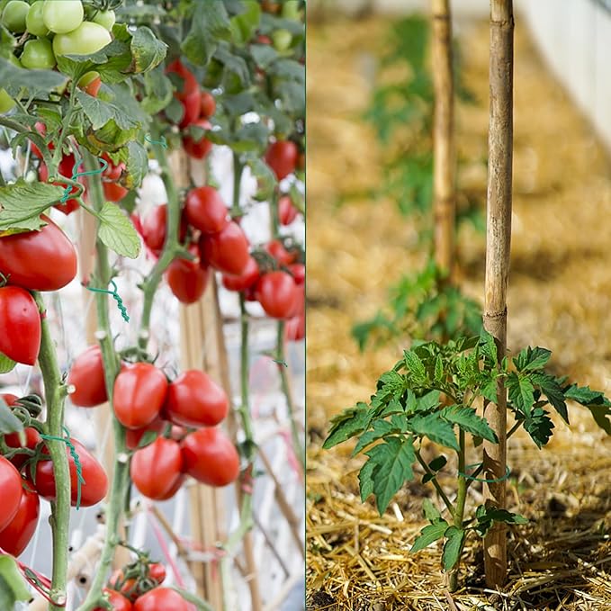 YDSL 88 feet Garden Flexible Wire, 3Pcs Soft Twist Plant Ties for Plant Vines and Office Organization (Diameter - 3MM)