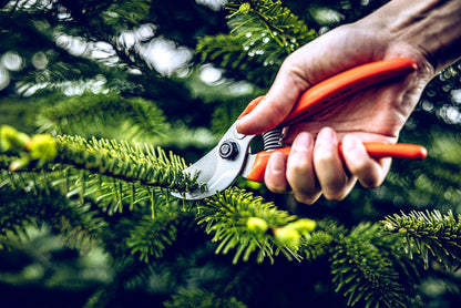 Original LÖWE Bypass Pruner Garden Tools 14.104 | Use as Pruners, Hedge Trimmer, Garden Shears, Pruning Shears for Gardening | For cutting roses, twigs, branches, and cut flowers | Made in Germany