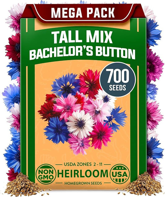 HOME GROWN Bachelor Button Flower Seeds Tall Mix – 700+ Cornflower Heirloom Seeds for Planting - Quick Blooming, Non-GMO, Pollinator Friendly, Easy to Grow Wildflowers – USA Grown (Centaurea cyanus)