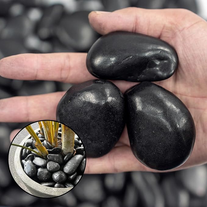 10lbs Black River Rocks, 2-3 Inch Large Pebbles for Indoor Plants, Natural High Polished Decorative Stones for Vase Filler Fish Tank