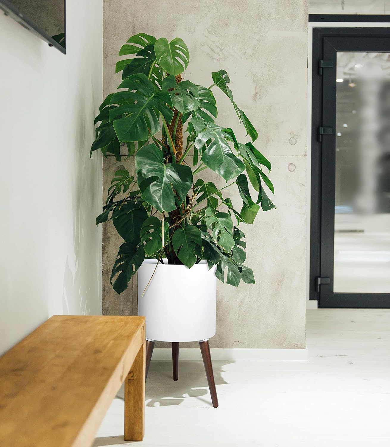 D'vine Dev 14 Inch Planter Pot with Stand, Mid-Century Tall Plant Pot with Legs for Indoor Plants, X-Large, White, 88-O-D-1