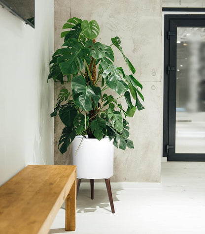 D'vine Dev 14 Inch Planter Pot with Stand, Mid-Century Tall Plant Pot with Legs for Indoor Plants, X-Large, White, 88-O-D-1