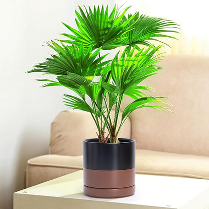 D'vine Dev 6.5 Inch Ceramic Planter Pot with Drainage Hole and Saucer, Indoor Cylinder Round Planter Pot, Black/Speckled Tan, 94-O-C-7