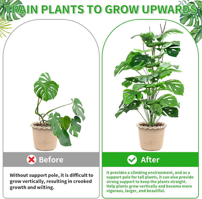 4 Pack 27.56" Detachable Twig Plant Support Stakes Set, Blends in to Plant, Branch Plant Sticks with Orchid Clips Twist Plant Ties, Twig Trellis for Indoor Outdoor Plants Potted Plants Flower