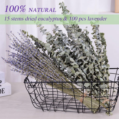 120 PCS Dried Eucalyptus Stems & Lavender Flowers Bundle for Shower, 17'' Natural Real Live Eucalyptus Leaves Greenery Stems & Aromatic Lavender Shower Plant,Gift for Mother,Fragrance, Decor