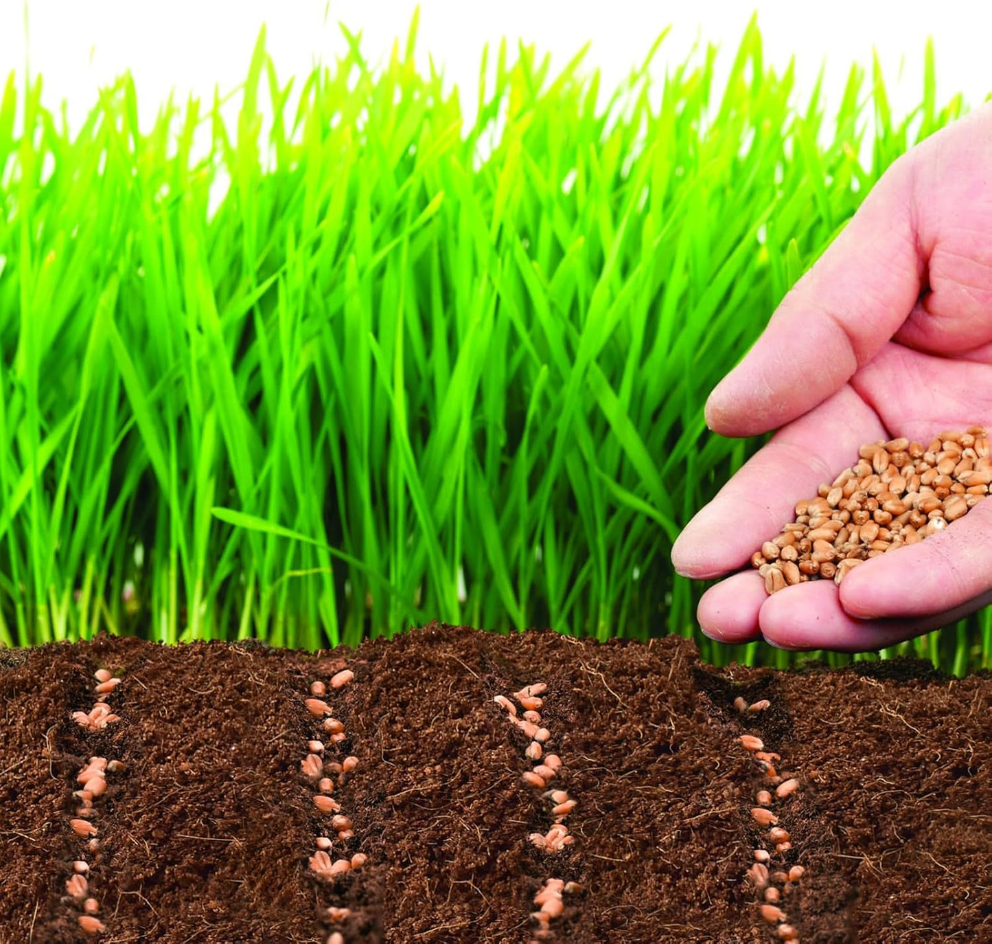 ZeeDix 50pcs 50mm Coco Coir Pellets, Compressed Soil Pellets Coconut Coir Seed Starter Discs Seed Starting Pellets Discs Potting Soil for Outdoor Plants Flowers Bonsai Herbs and Vegetables