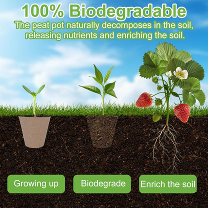 30 Packs Peat Pots, 3.1 Inch Seed Starting Pots Without Drainage Holes, Biodegradable Round Nursery Pot, Starting Seeds of Vegetables, Herbs, and Flowers