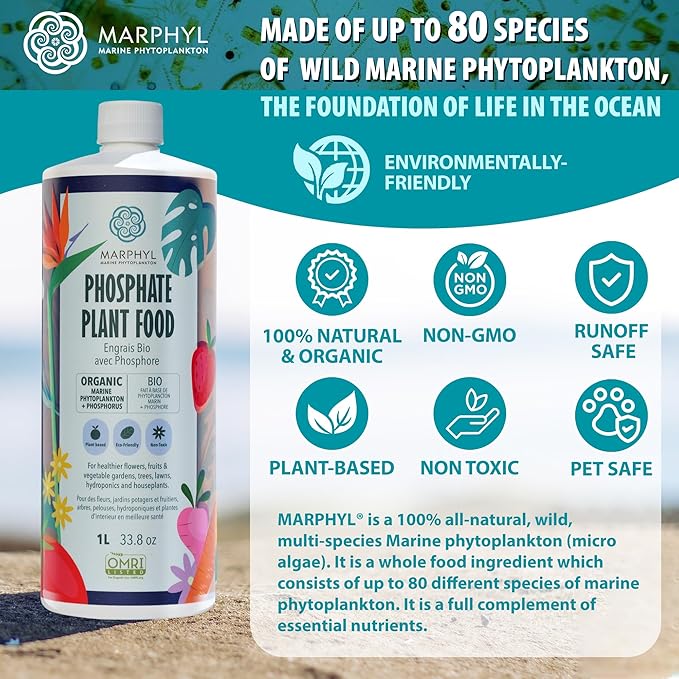 MARPHYL Organic Liquid Phosphate Soil Enhancer. Phosphorus Fertilizer for Garden, Flowers, Vegetables, Succulents, Bamboo, Hydroponics 33.8 oz