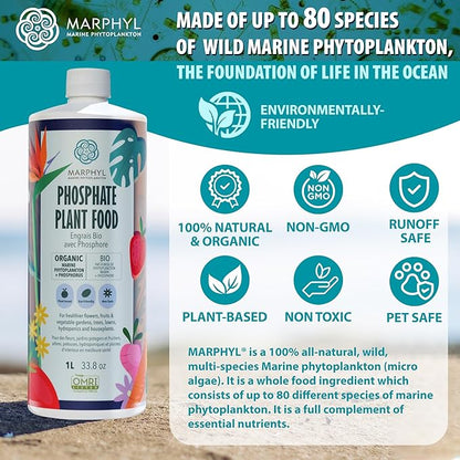 MARPHYL Organic Liquid Phosphate Soil Enhancer. Phosphorus Fertilizer for Garden, Flowers, Vegetables, Succulents, Bamboo, Hydroponics 33.8 oz