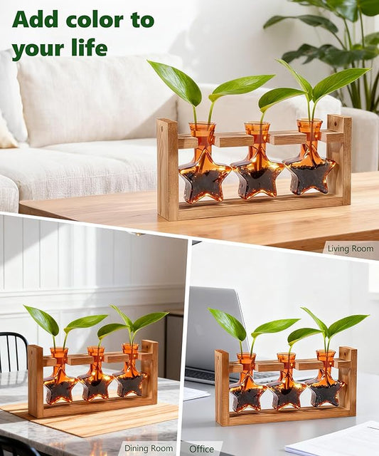 Nacome Star Glass Propagation Stations: Plant Terrarium with Wooden Stand Vase for Home Office Desk Decor, Unique Gifts for Plant Lovers Women Mom (Orange)